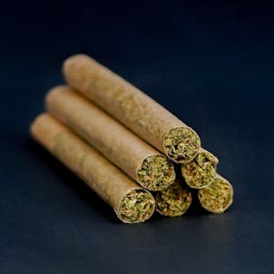 Photo of Mimosa Slim