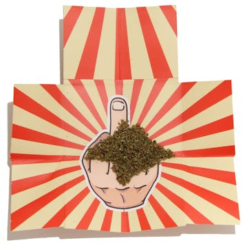 Photo of All-in-1 Weed Case, Grinder & Rolling Tray - Middle Finger