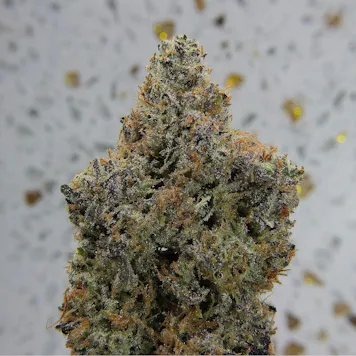 Photo of Narvona White | Mendo Diesel Flower