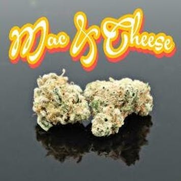 Photo of PhD - Mac & Cheese Flower - 15.70% THC
