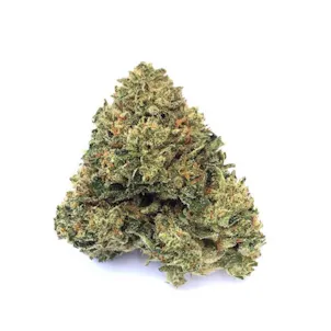 Photo of Indica - Birthday Cake