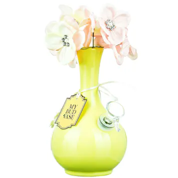 Photo of My Bud Vase "Phoebe" Water Pipe