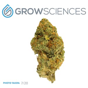 Photo of Strawberry Cream Cake (3.7)