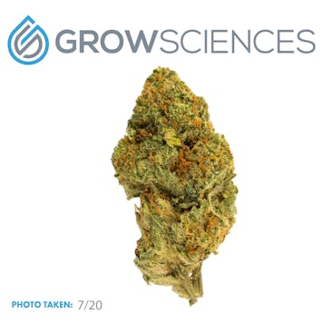 Photo of Strawberry Cream Cake (3.7)