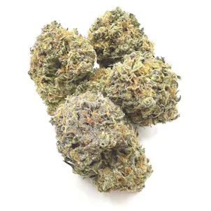 Photo of Big Bang THCA Flower