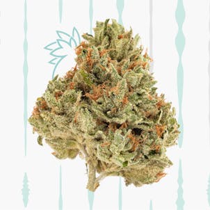 Photo of Ghost of the M