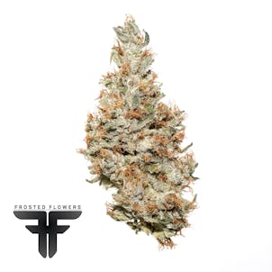 Photo of Sumatra Kush