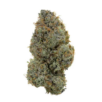 Photo of Rainbow Belts 3.5G