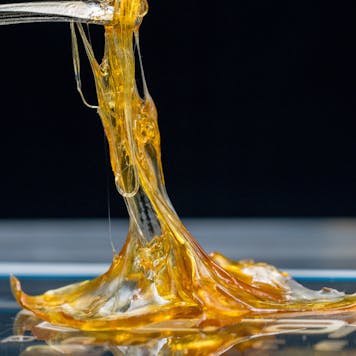 Photo of Craft Panacea