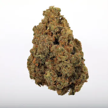 Photo of Silverback Diesel 7g