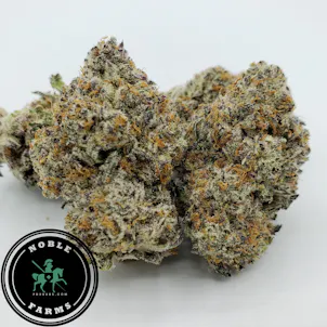 Photo of Royal Wedding