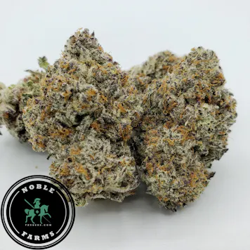 Photo of Royal Wedding