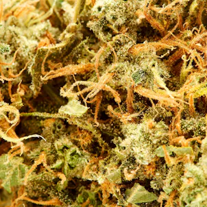 Photo of Solar Power Pre-Roll 2g 4-Pack