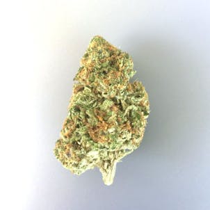 Photo of Hybrid - Light Dep - Purple Cookies