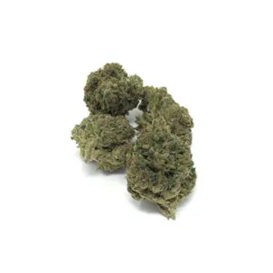 Photo of Special Sauce Flower