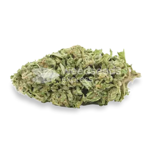 Photo of Sleepy Joe OG Feminized Seeds