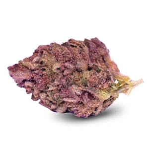 Photo of Blueberry Muffin Feminized