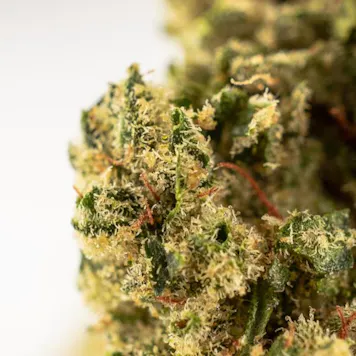 Photo of Granpa's Glue - 3.5g