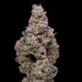 Crispy Sugar Feminized Cannabis Seeds