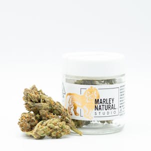 Photo of Marley Studio: Dragonfly Purple