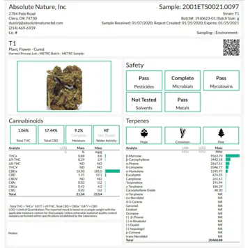 Photo of T1 (Trump) CBD Hemp Flower Buds For Sale