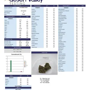 Photo of Coca Dream CBD Hemp Flower