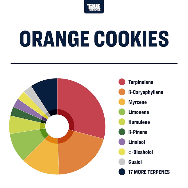 True Terpenes Orange Cookies Profile Strain Leafly