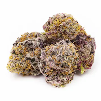 Photo of Granddaddy Purple