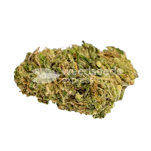 Photo of Golden Goat Feminized Seeds