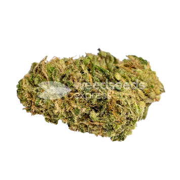 Photo of Golden Goat Feminized Seeds