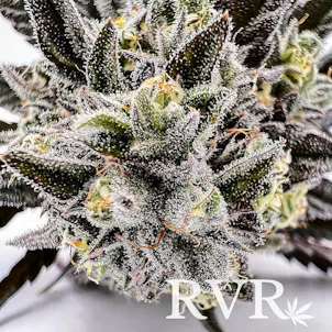 Photo of Ice Cream Cake Indica Hybrid Flower