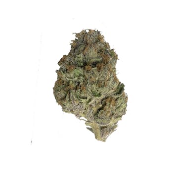 Photo of WINK CRAFT MANGO SAPPHIRE