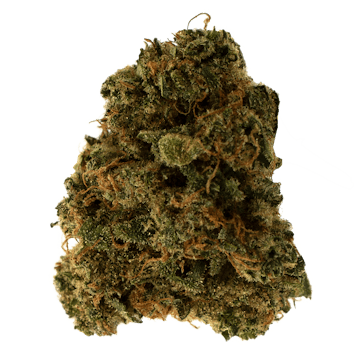 Photo of OS.Génétiques Kush