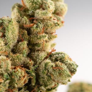 Photo of T.I.T.S. - 3.5g