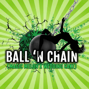 Photo of Ball 'n Chain