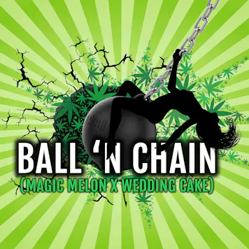 Photo of Ball 'n Chain