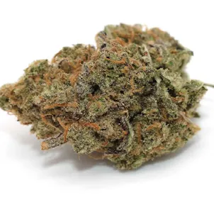 Photo of Orange Sherbert