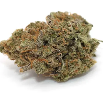 Photo of Orange Sherbert