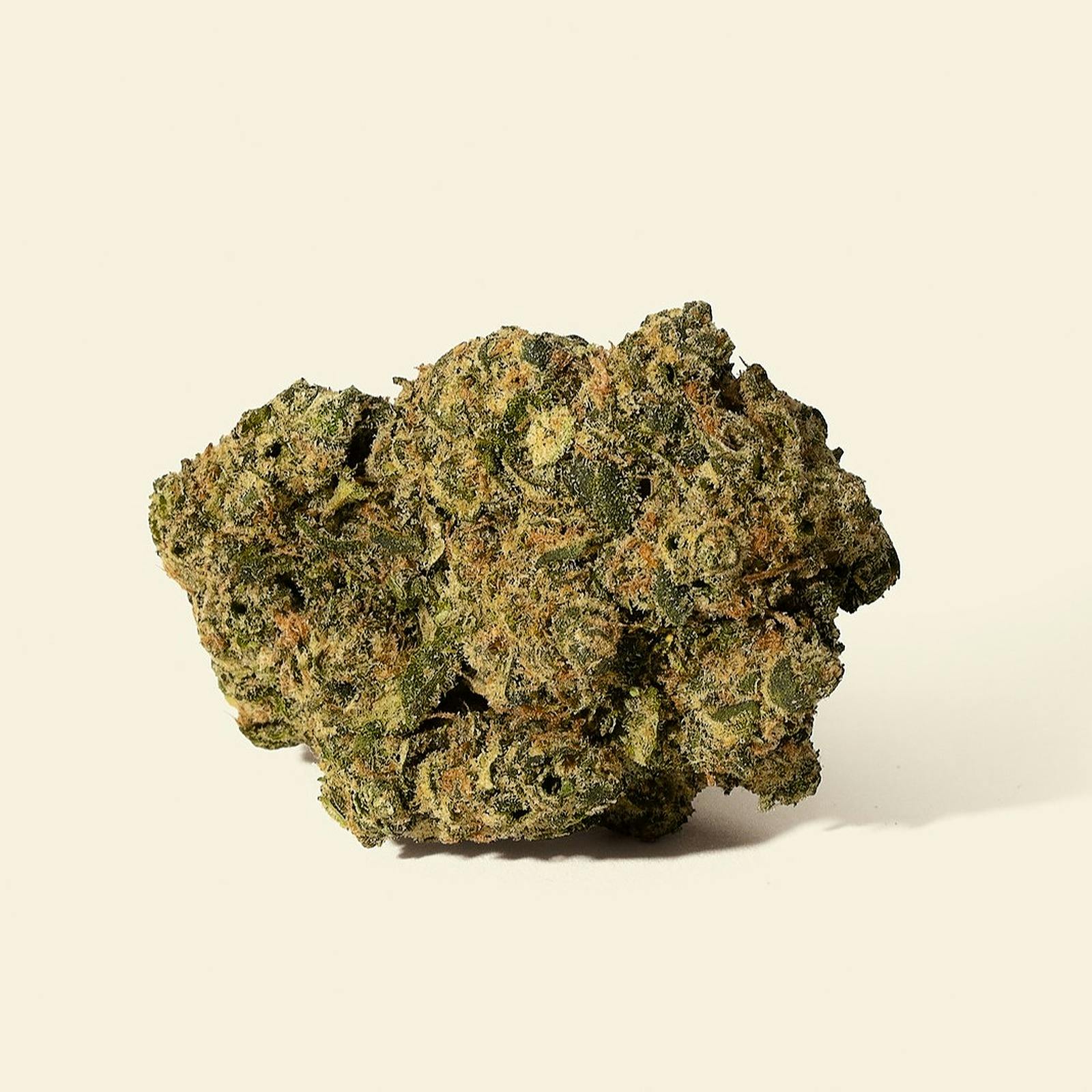 Houseplant Strawberry Moon Leafly