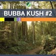 Product image for Bubba Kush #2