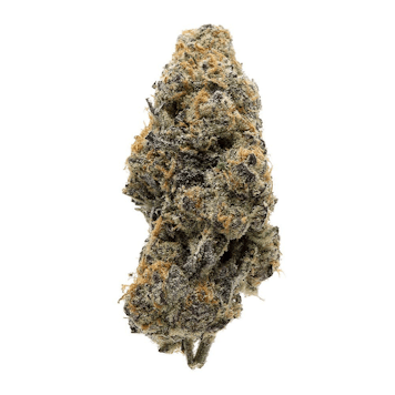 Photo of Grandaddy Purple Feminized