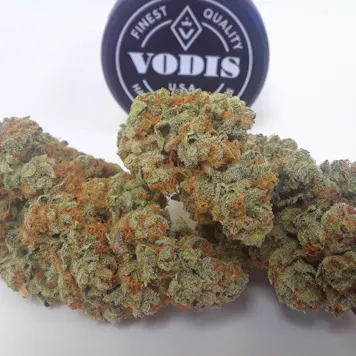 Photo of Katsu Kush