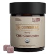 Product image for Full Spectrum CBD Gummies (Berry): 30ct 1500mg