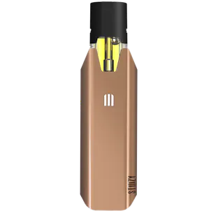 Photo of STIIIZY BIIIG Starter Kit - Rose Gold