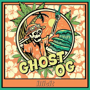Photo of Ghost OG 28G Intros Flower