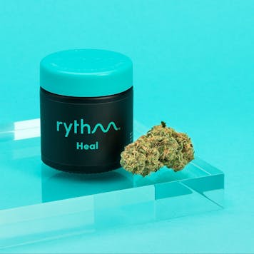 Photo of Otto - Heal