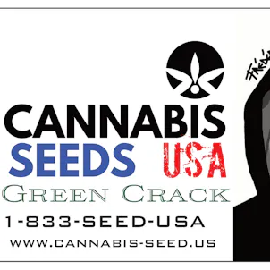 Photo of GREEN CRACK - SINGLE SEED