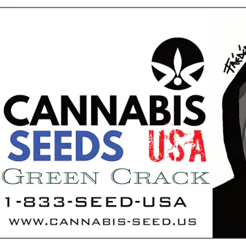 Photo of GREEN CRACK - SINGLE SEED