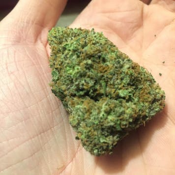 Photo of VADER HAZE Fem Seeds