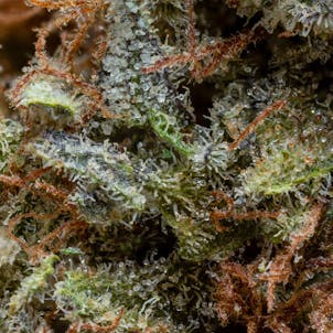 Photo of BC Organic Apple Toffee